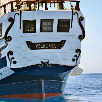 Ship PELEGRIN